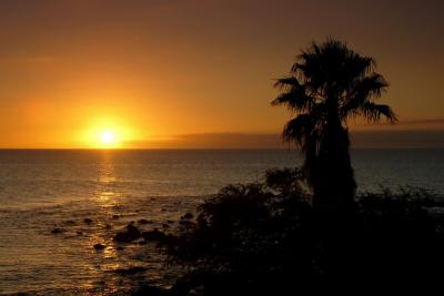 Renaissance Hotel Wailea Beach