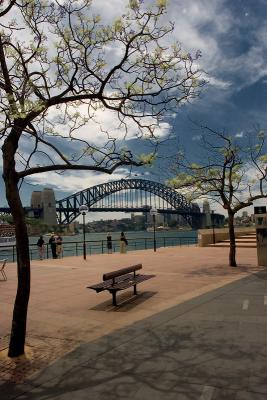 Sydney Harbour Bridge and jacaranda trees