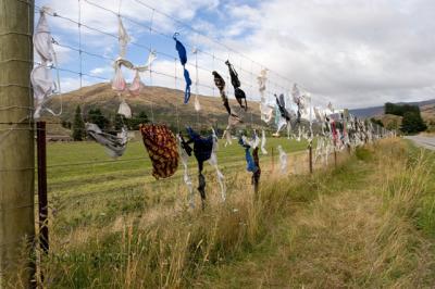 Bra fence