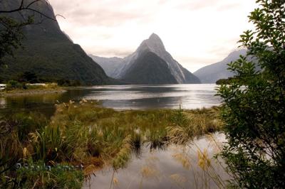 Mitre Peak at Milford Sound