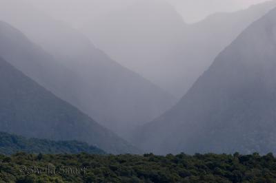Mountain mist