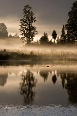 Lake Matheson mist