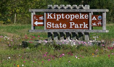 Kiptopeke State Park/Eastern Shore and Bird Banding