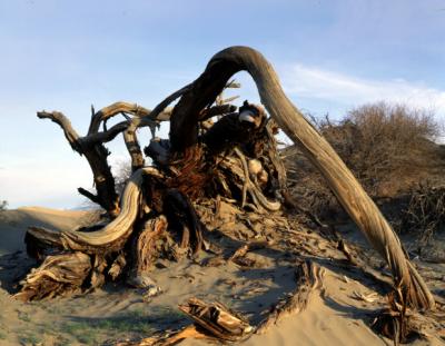 death valley