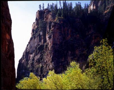 ZION CLIFF.jpg