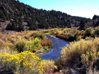 SweetWater Nevada