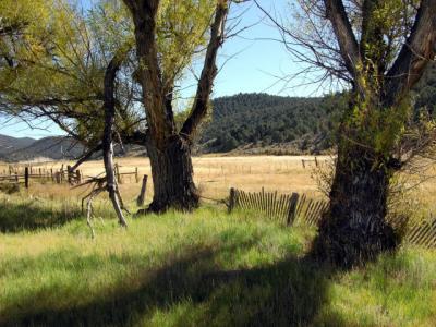 Sweetwater Timeless