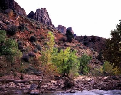 peak tree creek.jpg