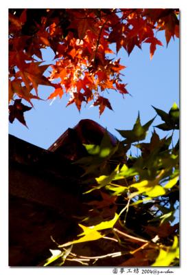 DSC_1098.jpg