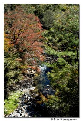 DSC_1124.jpg