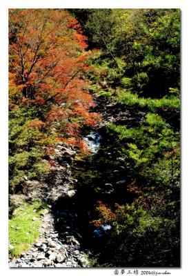 DSC_1126.jpg