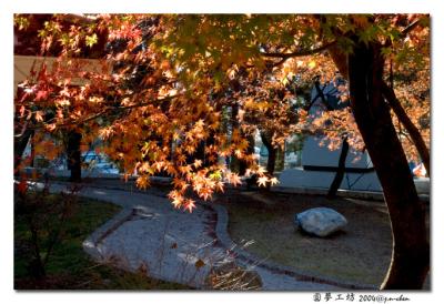 DSC_N1146.jpg