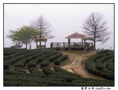 CRW_0695.jpg