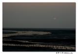 DSC_1064.jpg