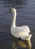 On the canal in Burscough