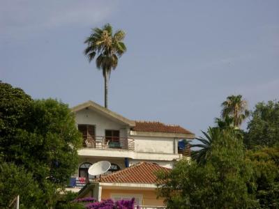 PICT1061.JPG