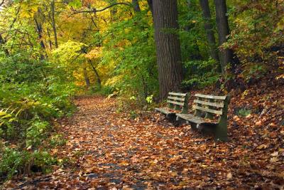 Benches