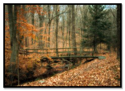 Foot Bridge, Kitchawan Preserve
