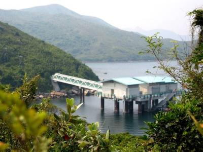 u49/smshiew/medium/35698122.x1343427_IMG.jpg