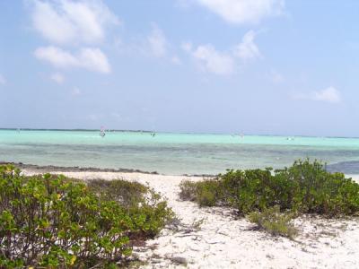 u49/snorkelady/medium/36258744.r36258744.lacbay1.jpg