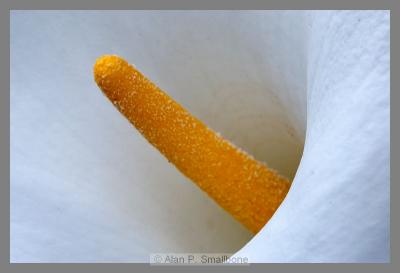 _N0Z0372.jpg