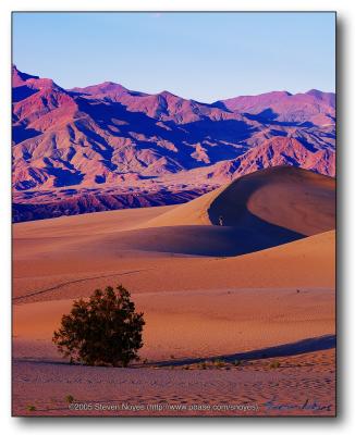 Sand Dunes 2 : Death Valley