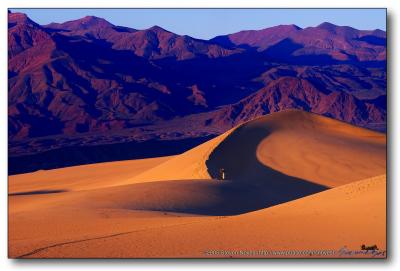 Sand Dunes VS the Photographer : Death Valley