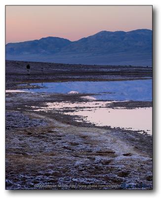 Alone at Bad Water : Death Valley