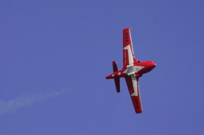 3331c.jpg