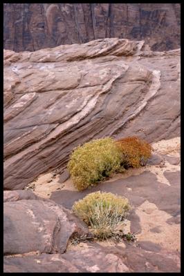 WM-SOUT-2004 -1119 - 0796 - Landmarks of the Southwest copie.jpg