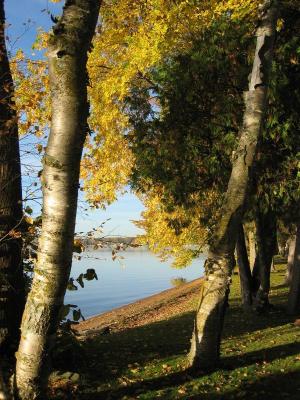 sunrise on lawn/lake