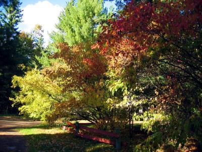 Lucy's yard