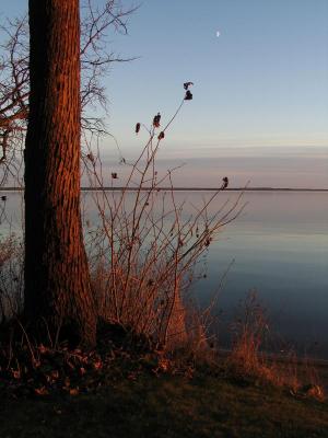 front yard sunset scene-November