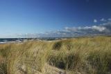 Dunes