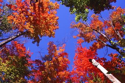 ontario_04
