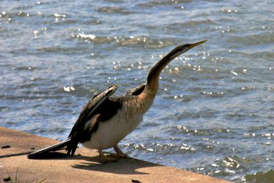 20030917 055 copy.jpg