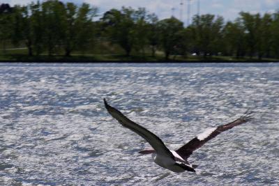 20031022 020 copy.jpg