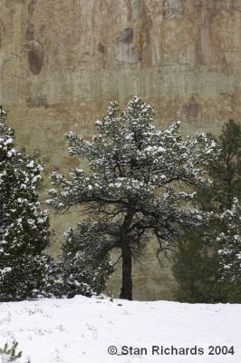 277elmorroinscriptionrock_i9e3364_std.jpg