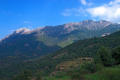 Landscape