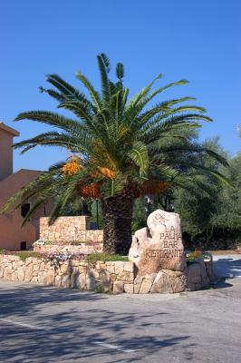 Palm Hotel