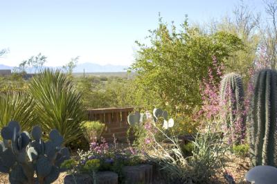 Hacienda del Desierto