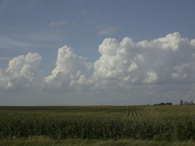 u49/stevephoto/medium/35776021.2003.08.02.16.42.13.C200301324R.jpg