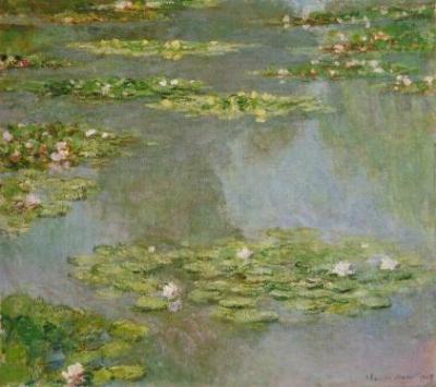 u49/stevezzzz/medium/36069958.1672_WaterLilies.jpg