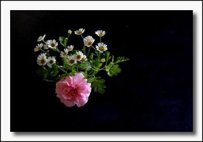 Mini bouquet