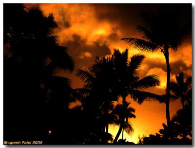 Sunest in Kauai