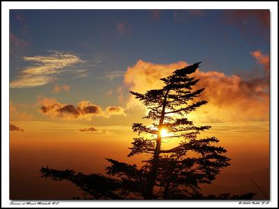 Sunrise at Mount Mitchell by Pablo F.S.