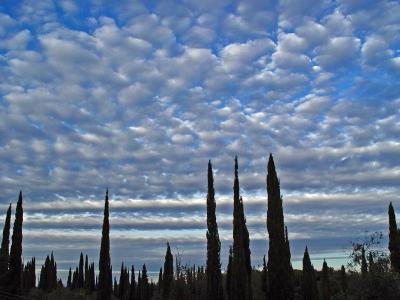 Playful clouds