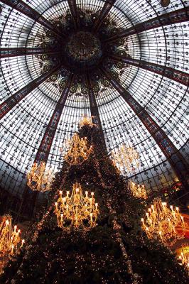 7th - The Tree at Galeries Lafayette......by Fremiet