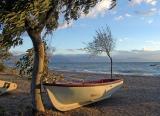 Breezy morning on the beach