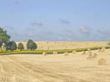 Straw Bales